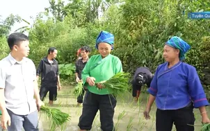 Cán bộ trẻ - Nguồn lực mới ở thôn bản sau sáp nhập