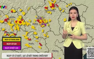 Bản tin thời tiết 12h30 - 04/8/2026