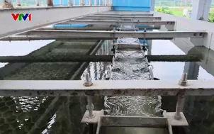 Hà Nội nỗ lực cấp nước sạch cho người dân