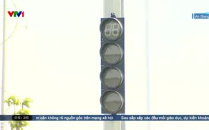 An Giang: Trộm dây điện nhiều đèn chiếu sáng, đèn giao thông