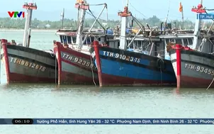 Hàng loạt tàu cá nằm bờ do không đủ điều kiện đăng kiểm