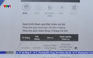 Cần chế tài mạnh xử lý chậm, trốn đóng bảo hiểm xã hội