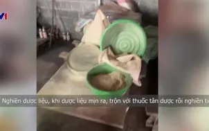 Sự thật thuốc Đông y "chữa bách bệnh"