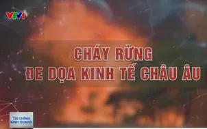 Cháy rừng đe dọa kinh tế châu Âu