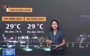 Bản tin thời tiết 6h30 - 12/8/2026