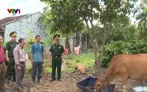 Trao con giống, gieo sinh kế vùng biên