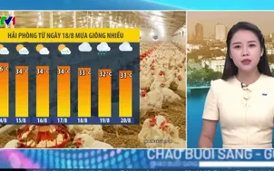 Bản tin thời tiết 5h30 - 14/8/2026