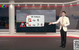 Bản tin thời tiết 19h45 - 14/8/2026