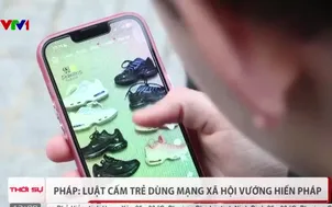 Pháp: Luật cấm trẻ dùng mạng xã hội vướng hiến pháp