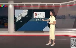 Bản tin thời tiết 19h45 - 15/8/2026
