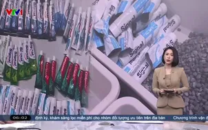 Xét xử 227 bị cáo trong chuyên án ma túy VN10