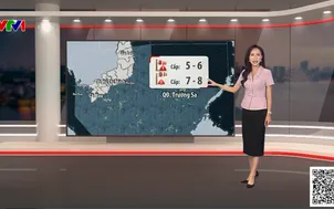 Bản tin thời tiết 19h45 - 19/8/2026