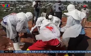 Dịch Ebola đã khiến hơn 2.500 người thiệt mạng