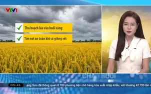 Bản tin thời tiết 5h30 - 04/9/2026