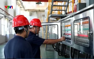 Biến dầu mỡ thải thành nhiên liệu sinh học