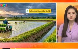 Bản tin thời tiết 5h30 - 07/9/2026