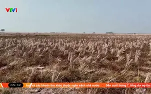 Cảnh báo hiện tượng thời tiết siêu El Nino