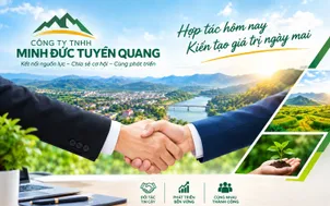 Công ty TNHH Minh Đức Tuyên Quang tuyển dụng nhân sự Kế toán