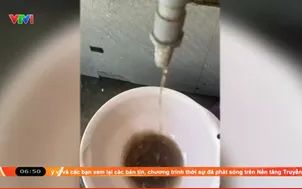 Hải Phòng: Người dân dùng nước không đạt tiểu chuẩn dù trả tiền mua nước sạch 