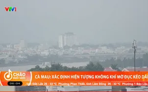 Cà Mau: Xác định hiện tượng không khí mờ đục kéo dài
