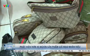 TP Hồ Chí Minh - Phát hiện hơn 40 nghìn sản phẩm giả mạo nhãn hiệu
