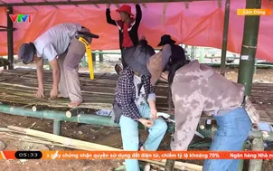 Lâm Đồng: Khẩn trương di dời người dân vùng sạt lở
