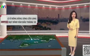 Bản tin thời tiết 19h45 - 20/9/2026