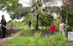 Xóm nhỏ 20 năm chờ điện