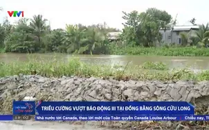 Triều cường vượt báo động III tại Đồng bằng sông Cửu Long