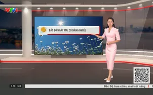 Bản tin thời tiết 19h45 - 24/9/2026