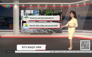 Bản tin thời tiết 19h45 - 26/9/2026