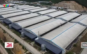 Áp lực môi trường từ chất thải chăn nuôi