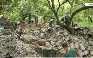 Những khu vườn nặng nghĩa tình