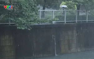 Kỷ lục 34 ngày mưa liên tiếp tại Tokyo