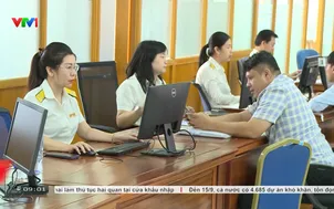 TP Hồ Chí Minh chuẩn hóa dữ liệu người nộp thuế