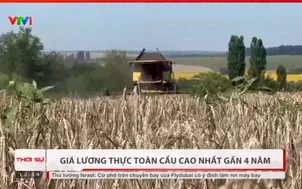 Giá lương thực toàn cầu cao nhất trong gần 4 năm