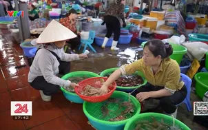 Khi tiểu thương chốt đơn qua "chợ mạng"