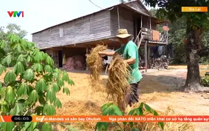 Tích hợp nguồn lực phát triển miền núi