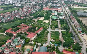 Đánh thuế đất bỏ hoang cần đúng đối tượng