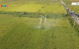 Chuyển đổi số về với buôn làng