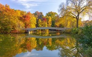 Central Park thay áo mới giữa lòng New York