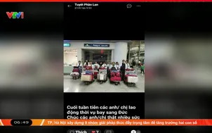 Lừa tiền môi giới lao động sang Phần Lan