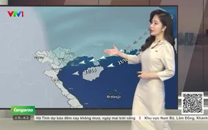 Bản tin thời tiết 19h45 - 18/10/2026