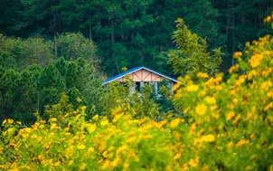 Miền Trung - Tây Nguyên: Những điểm hẹn hấp dẫn tháng 11