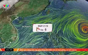 Bản tin thời tiết 5h30 - 20/10/2026