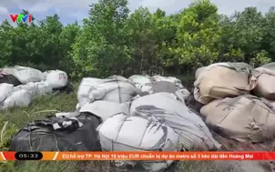 Quảng Ninh phát hiện, xử lý việc đổ thải công nghiệp trái phép