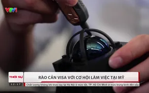 Rào cản visa với cơ hội làm việc tại Mỹ