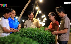 Thức cùng hoa Tết