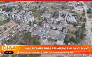 Nga, Ucraina nhất trí ngừng bắn cục bộ tại Oleshky (Ucraina)