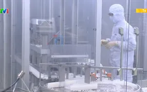 Việt Nam nghiên cứu vaccine viêm não Nhật Bản thế hệ mới 